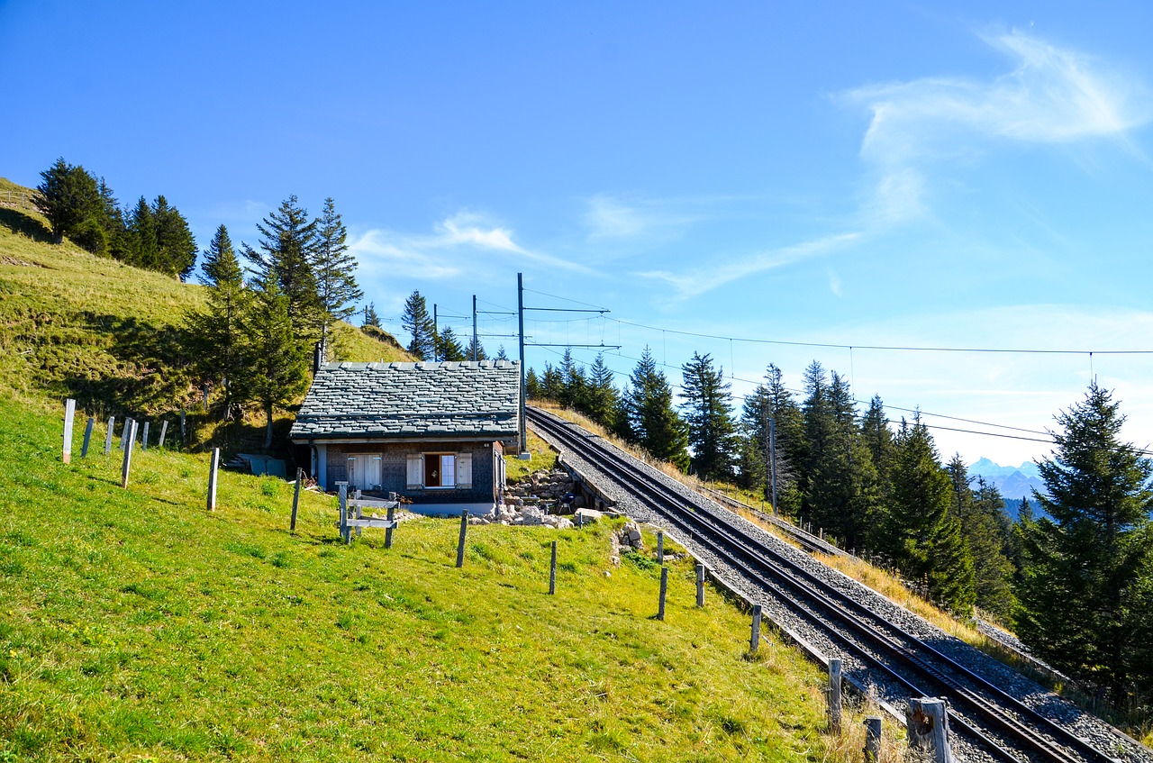 Image - rigi alm alp train tracks