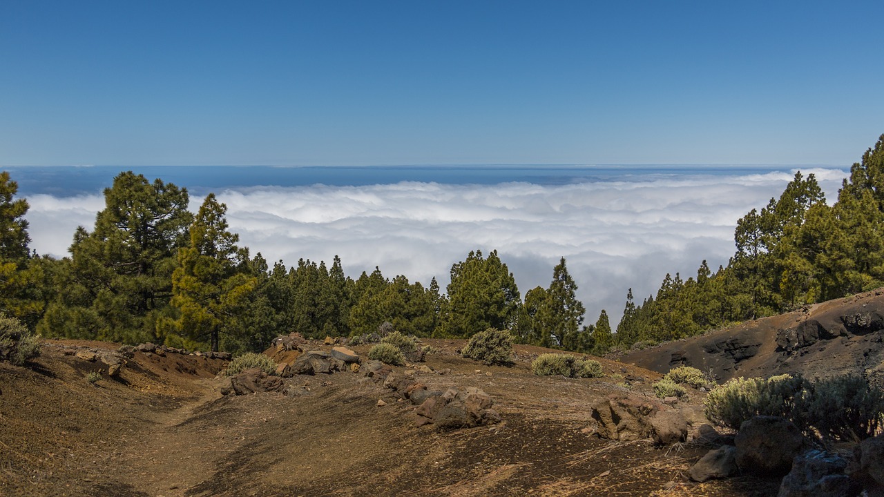 Image - volcano canary islands volcanic