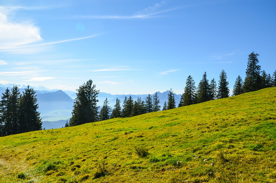 Image - mountain meadow hiking switzerland