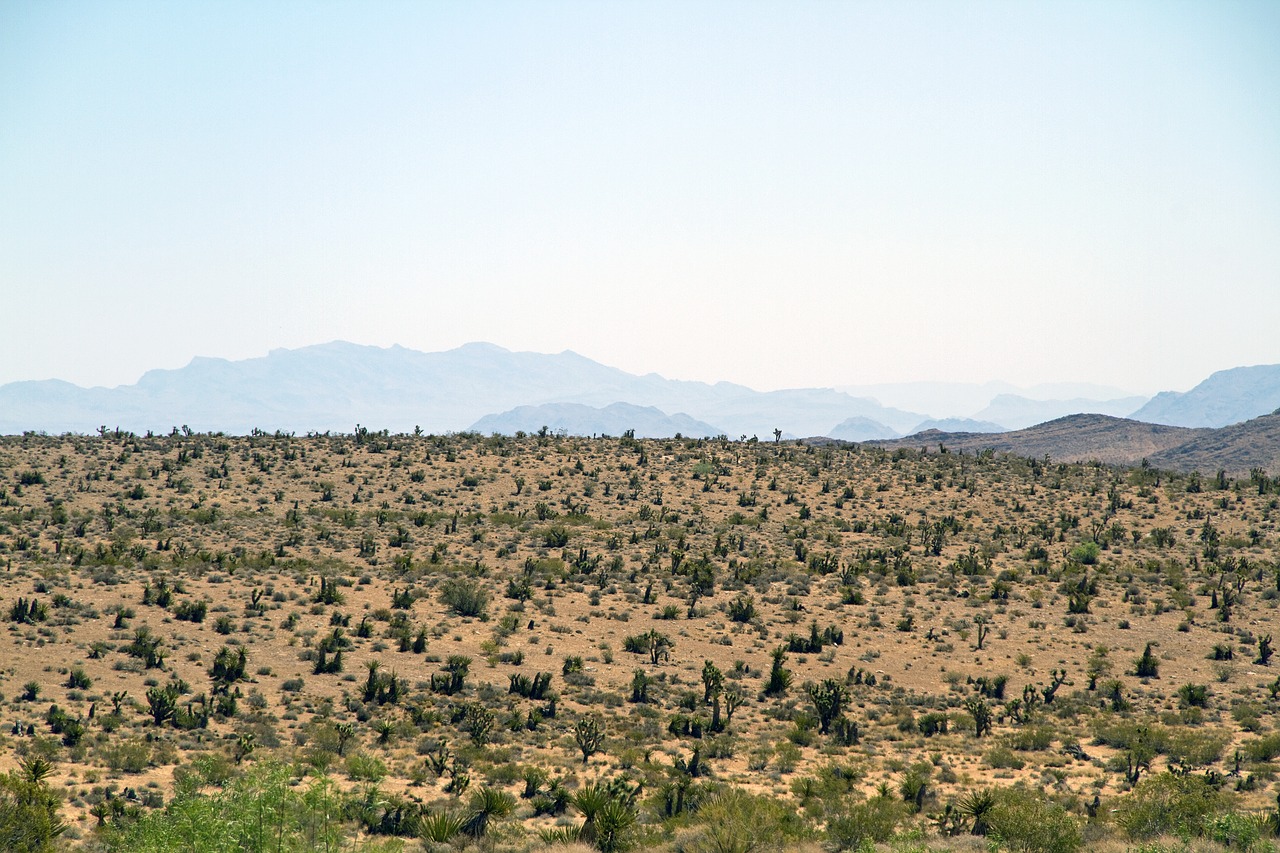 Image - red rock canyon las vegas nevada