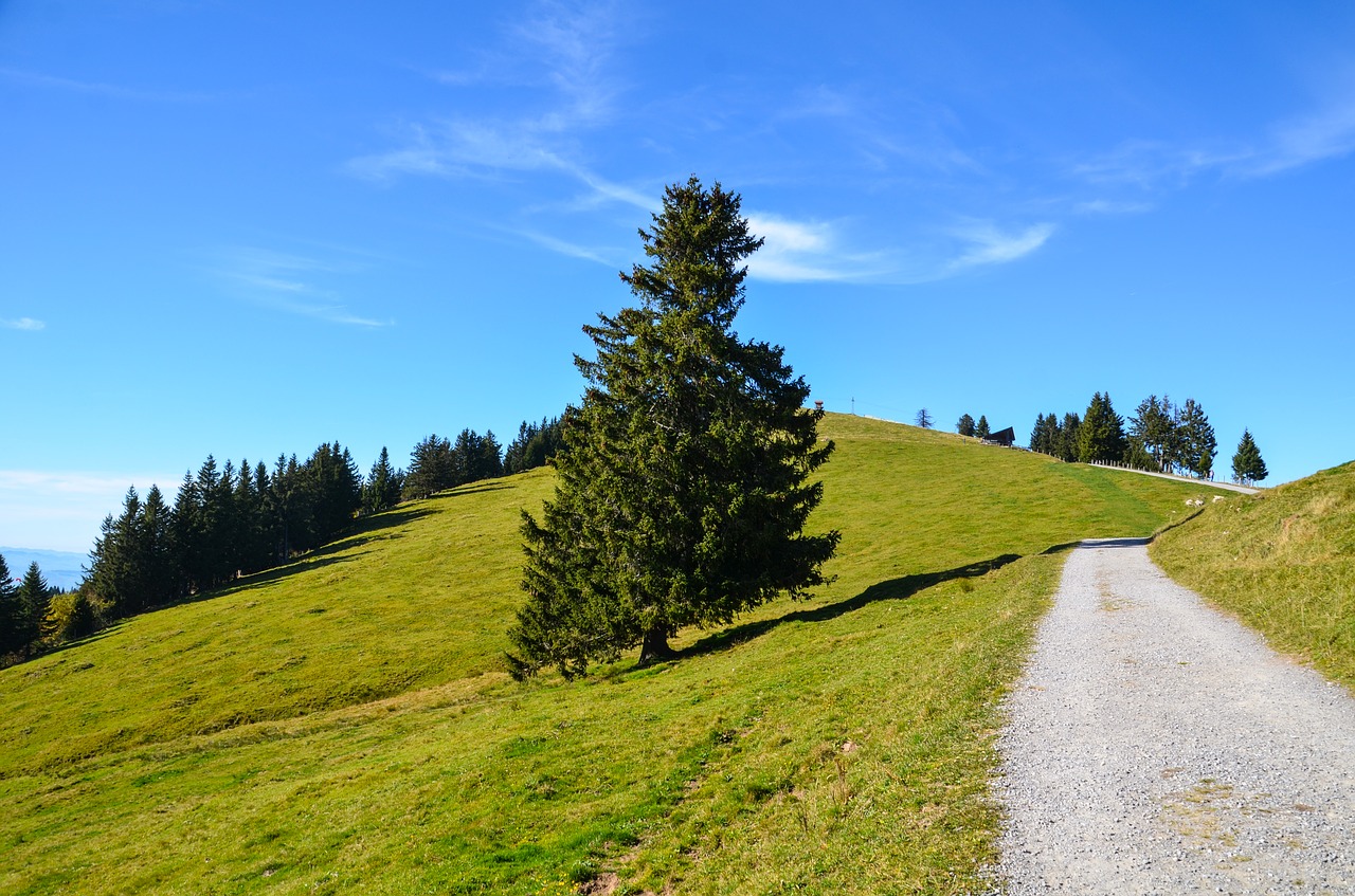 Image - alpine rigi trail hiking holiday