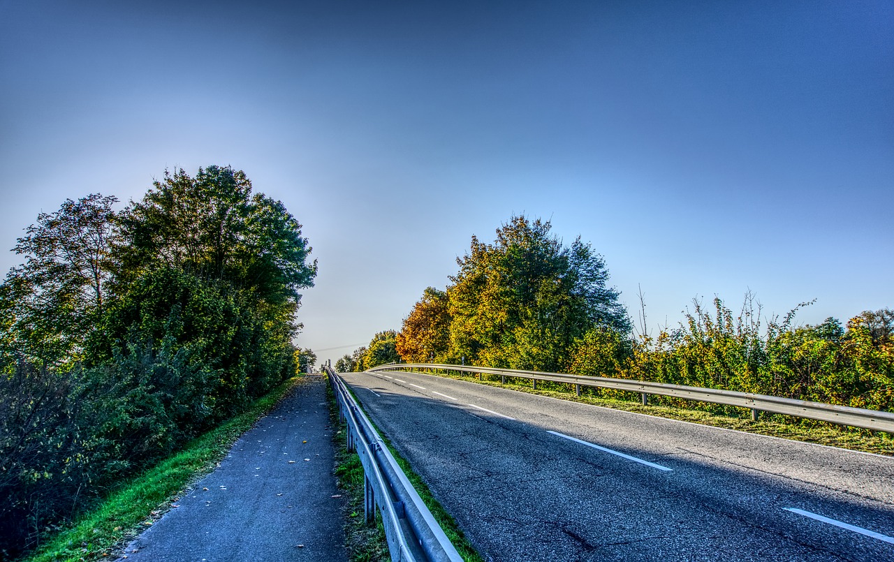 Image - road away tar asphalt trees green