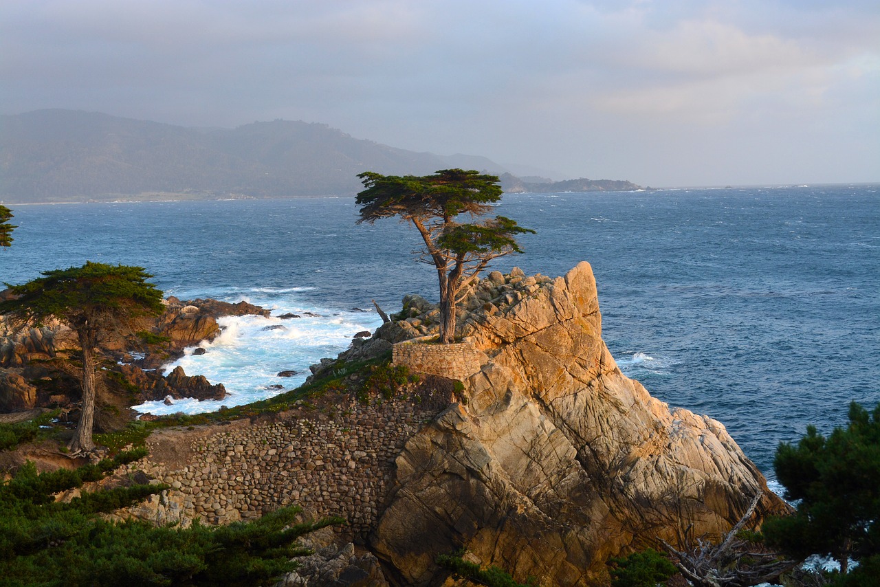 Image - lone cypress monterey