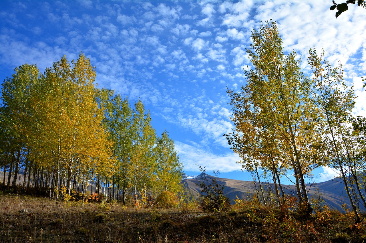 Image - turkey nature landscape kaçkars