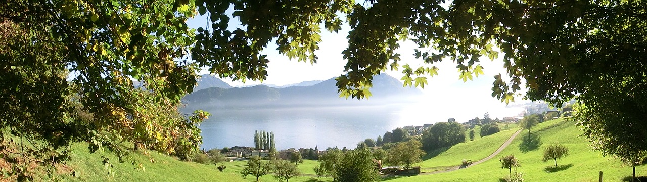 Image - nature weggis lake lucerne region