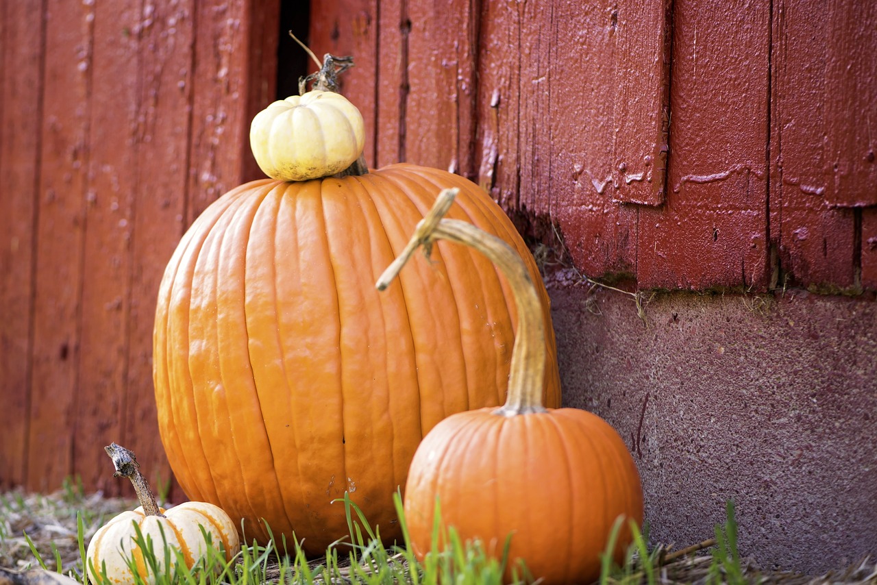 Image - pumpkins farm barn country harvest