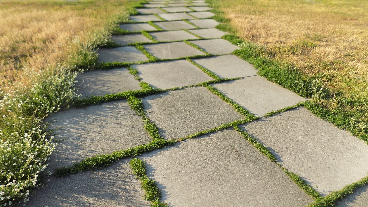 Image - track botanical garden grass