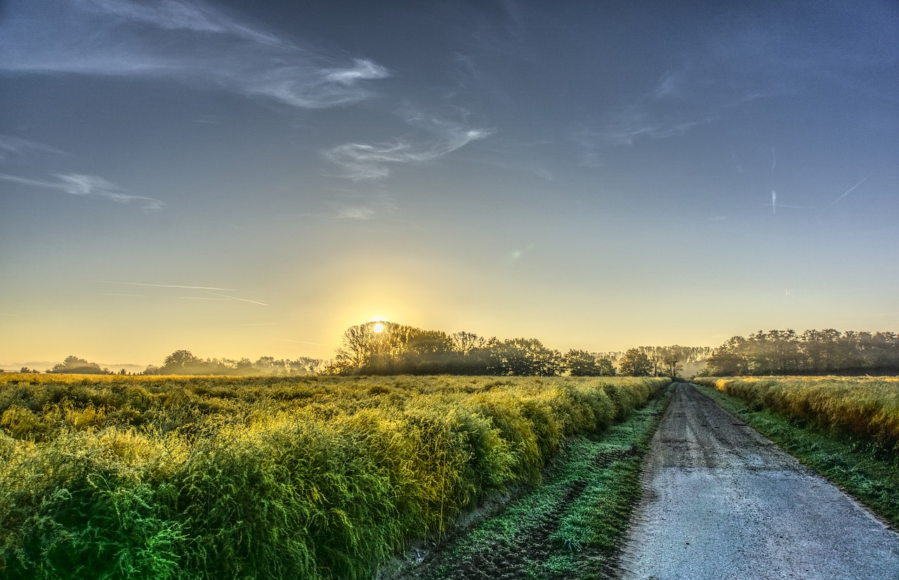 Image - sunrise fog sunlight sky blue