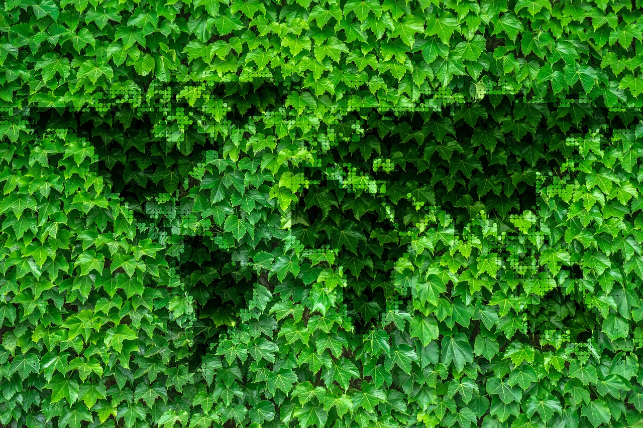 Image - leaves continents earth world