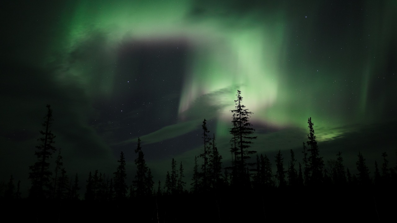 Image - aurora northern lights forest