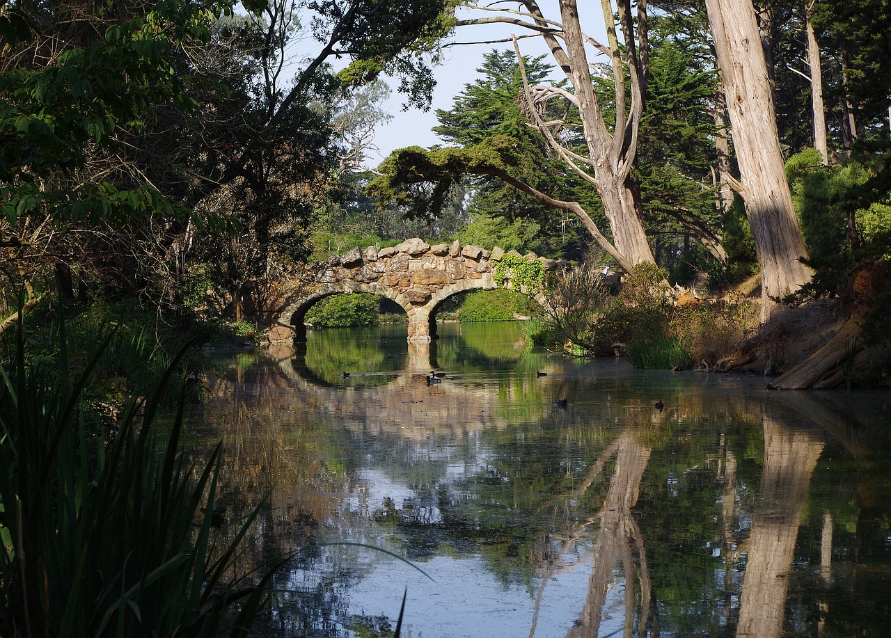 Image - bridge stone water nature river