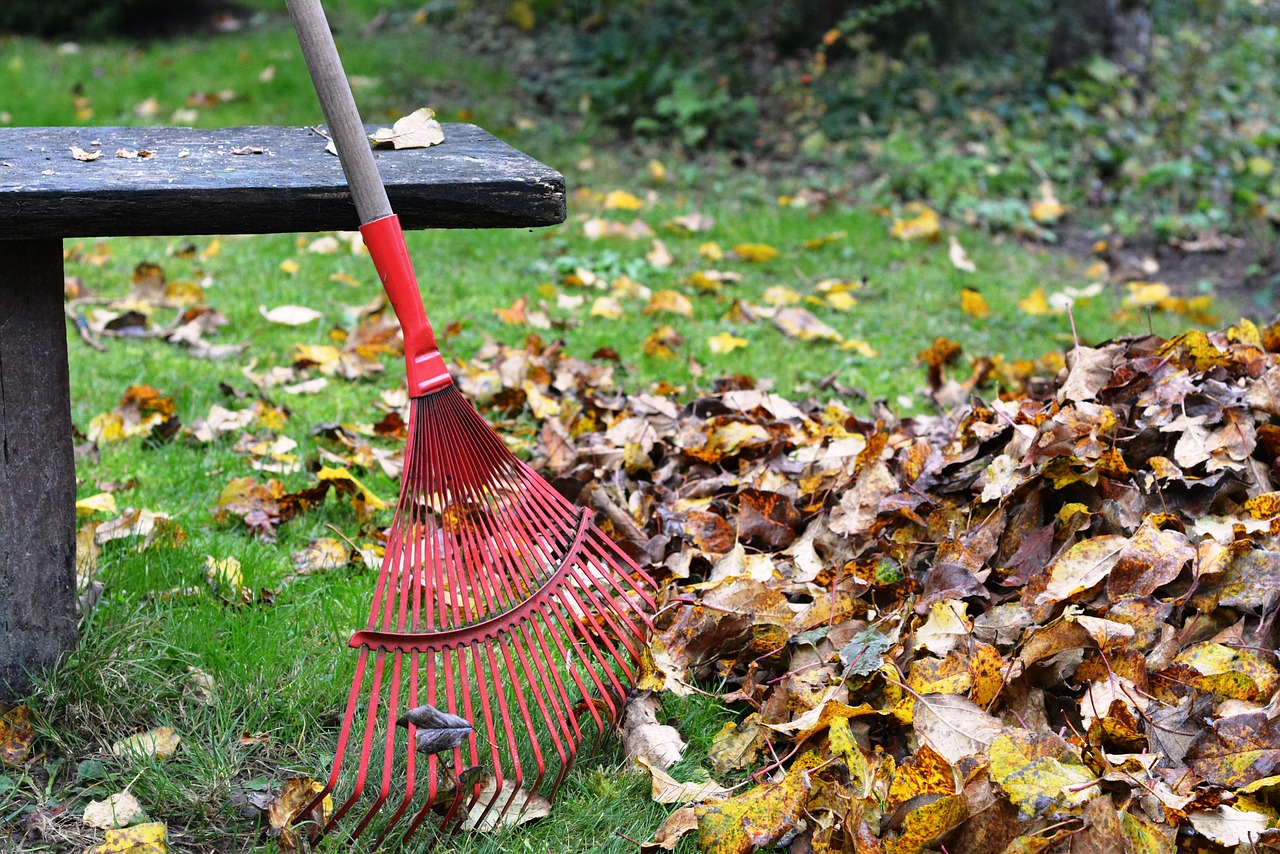 Image - rake rob raking foliage autumn