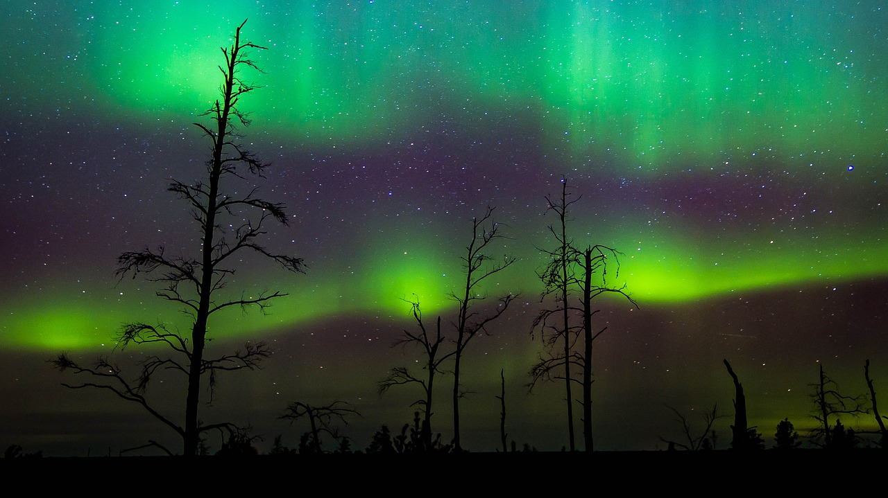 Image - night norther lights aurora sky