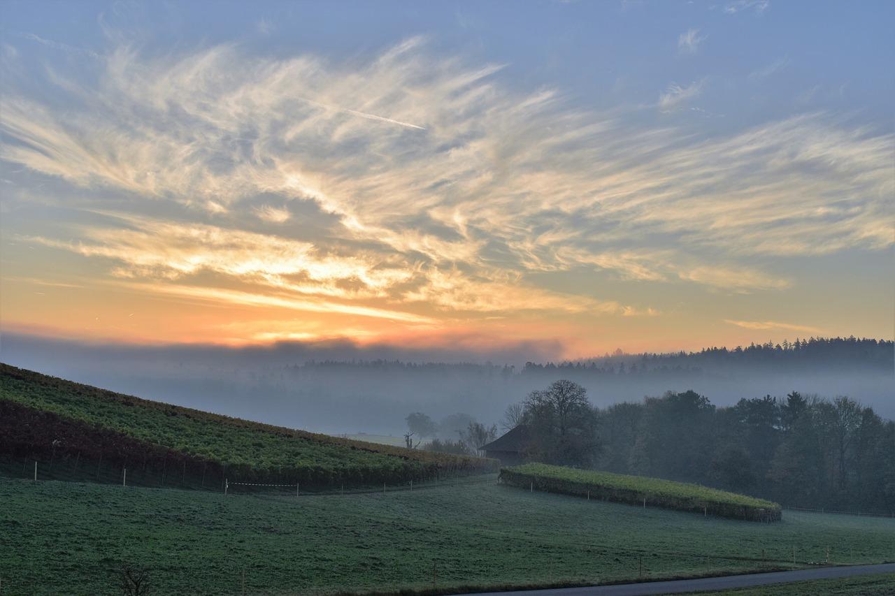 Image - landscape autumn mood sunrise fog