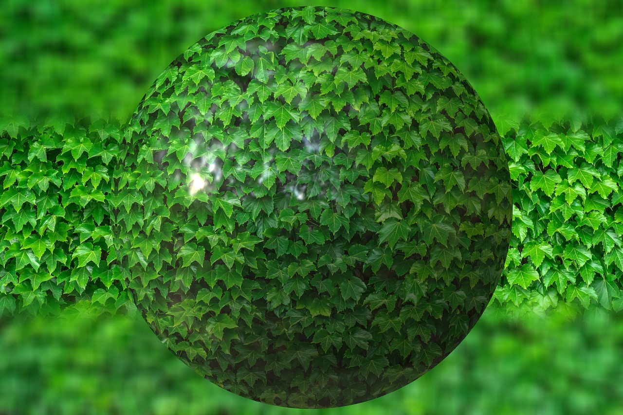 Image - ball leaves ivy about nature