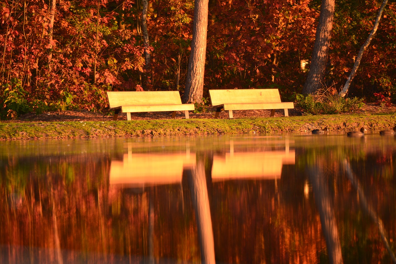 Image - nature bank morning sun reflection