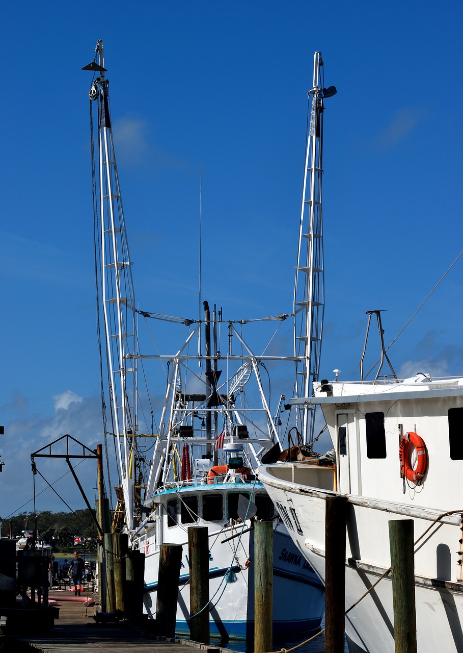 Image - commercial fishing nets shrimp nets