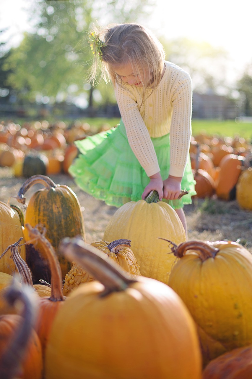 Image - pumpkins little girl autumn child