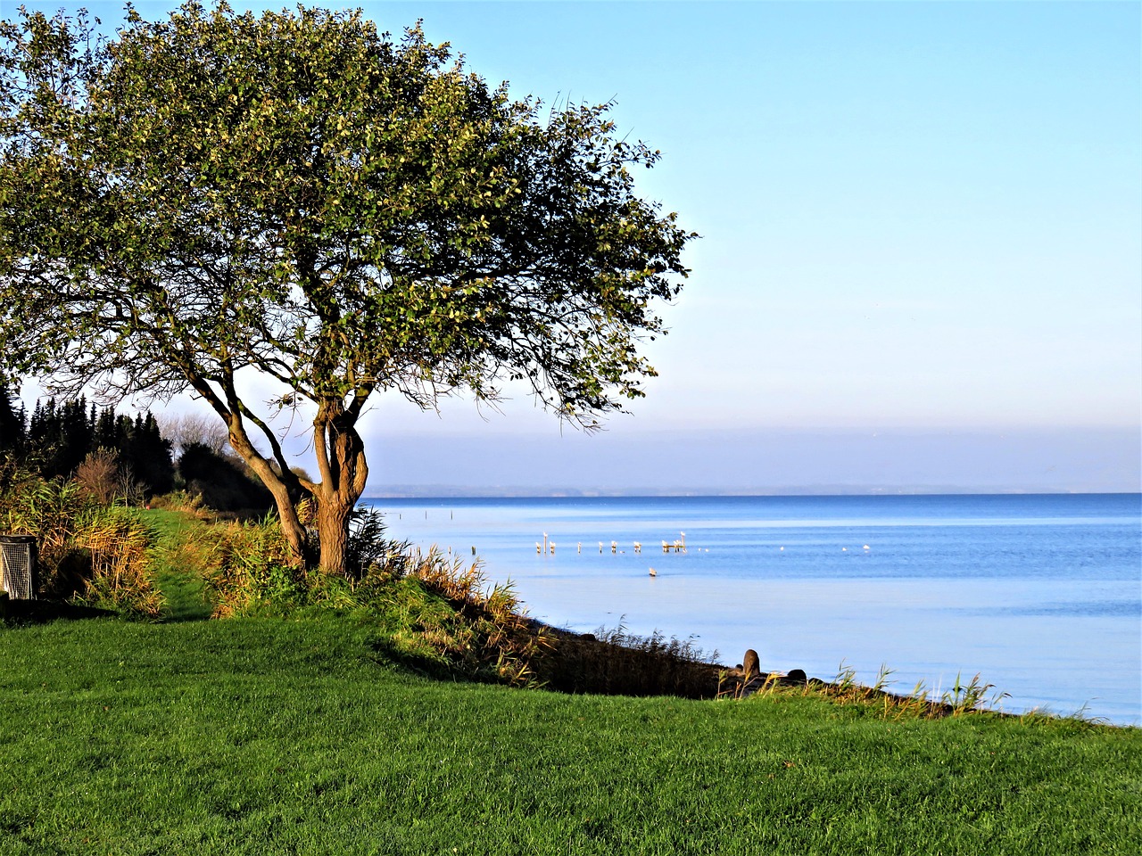 Image - baltic sea denmark sea landscape