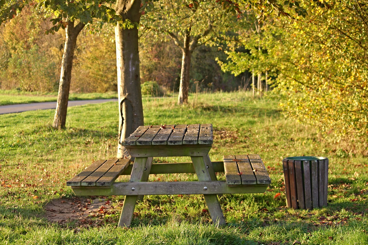 Image - bank resting place forest seat