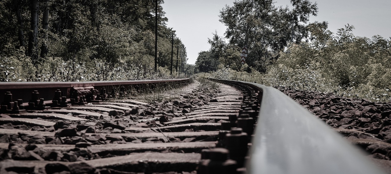 Image - rail steel trees railway railroad