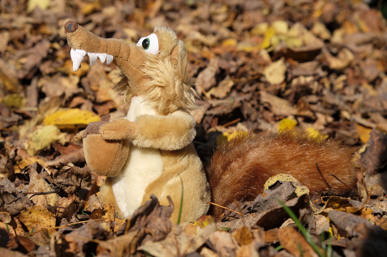 Image - leaves autumn fall foliage squirrel