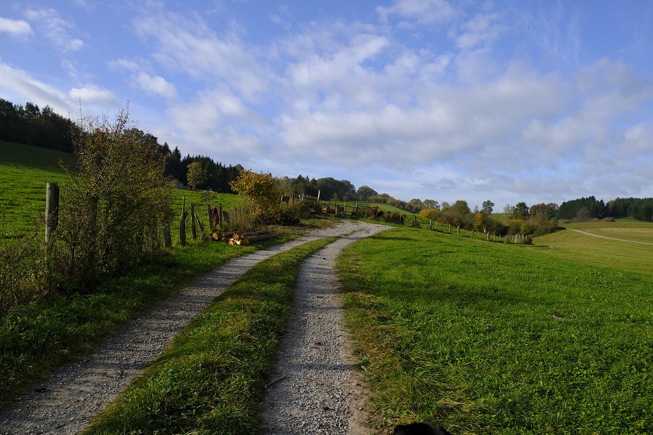 Image - away lane trail landscape green