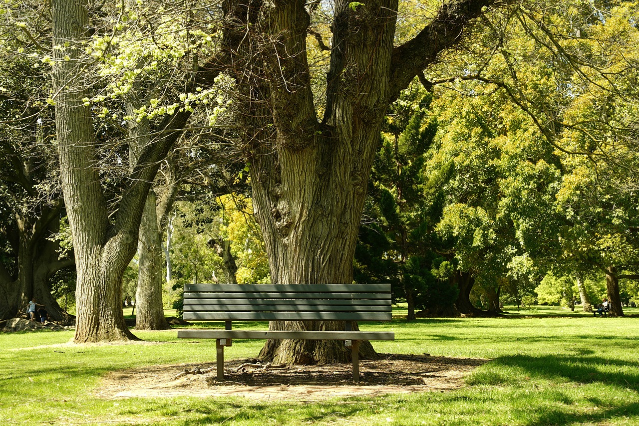 Image - bench tranquillity park trees