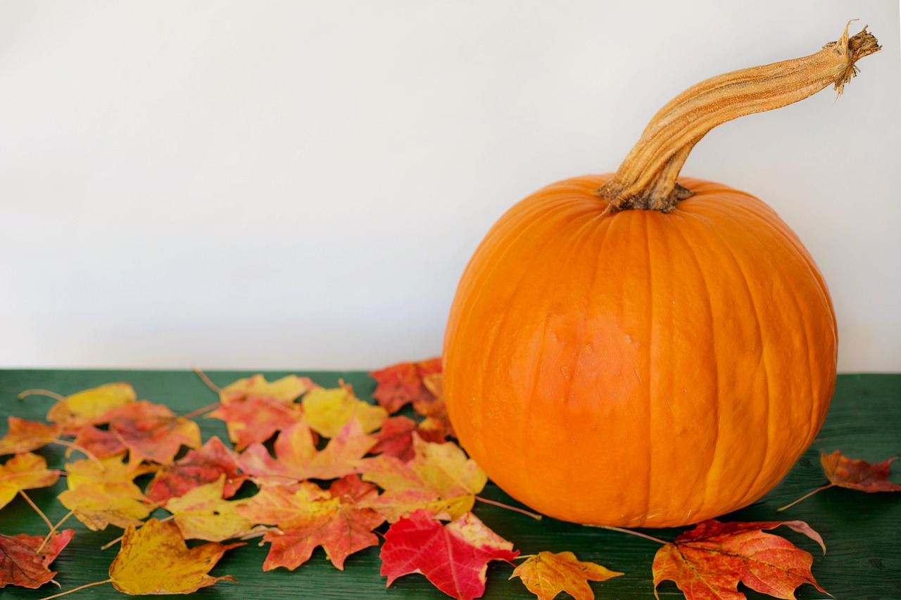 Image - pumpkin leaves autumn fall