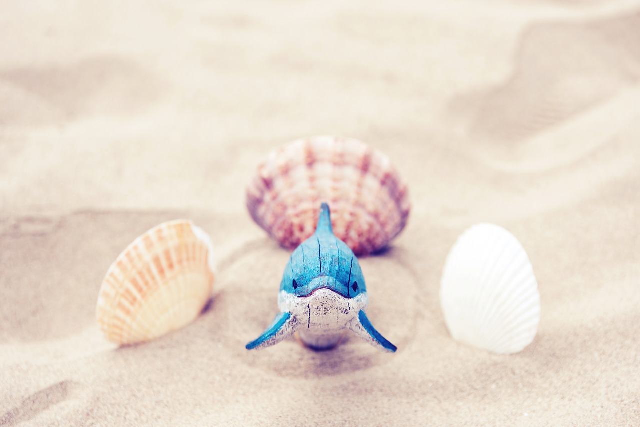Image - beach sand ocean sea summer