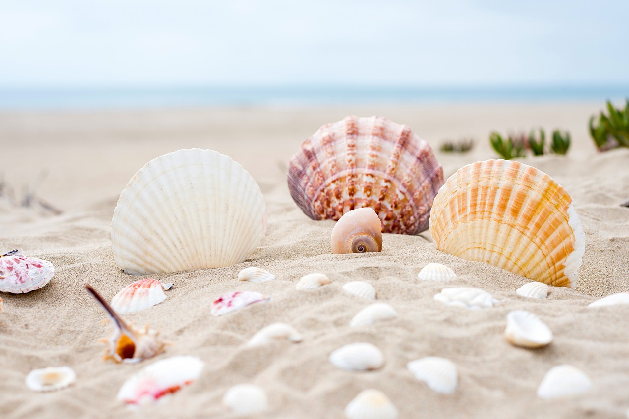 Image - beach sand ocean sea summer