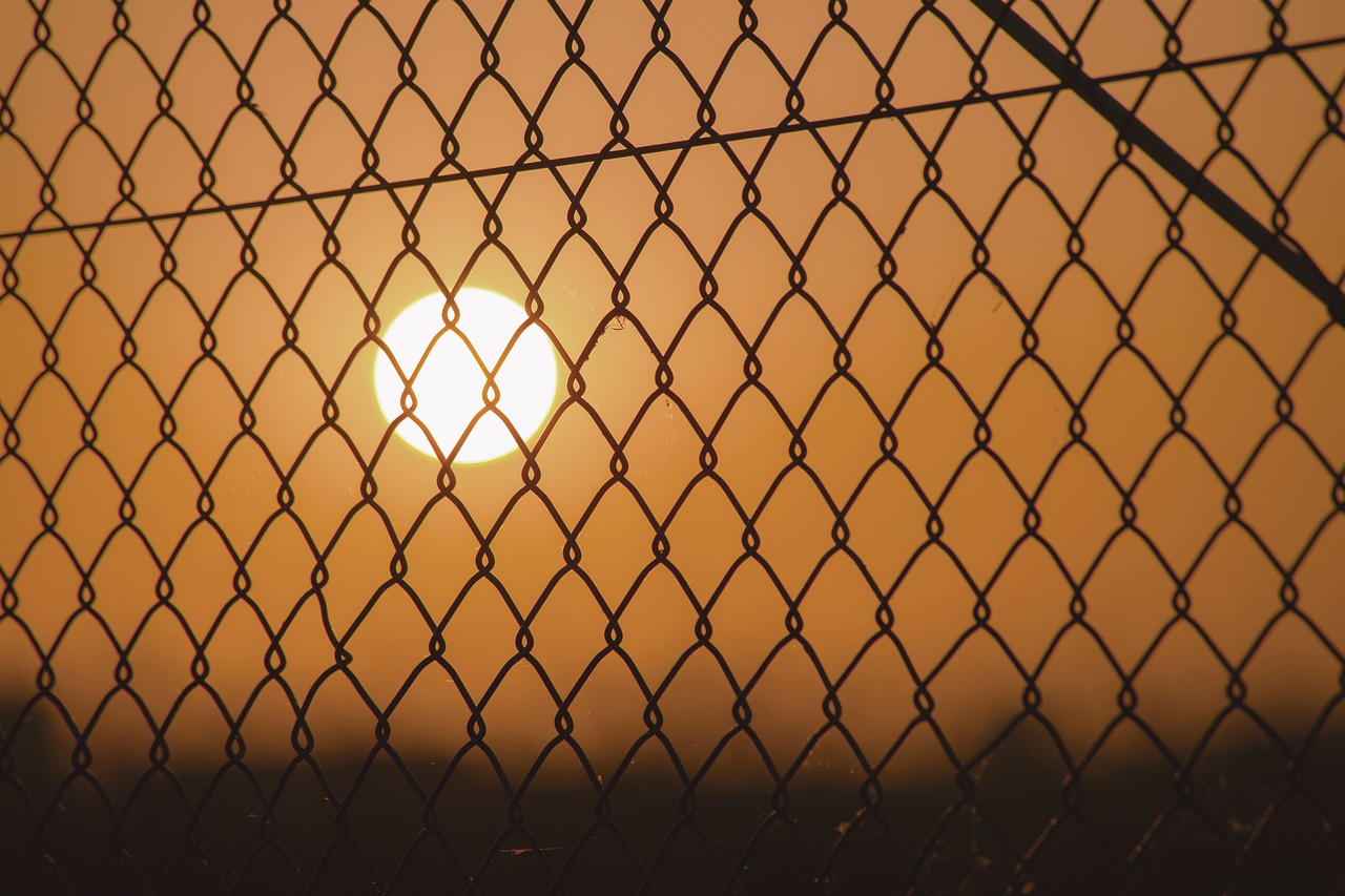 Image - sunset fence grid caught sun day