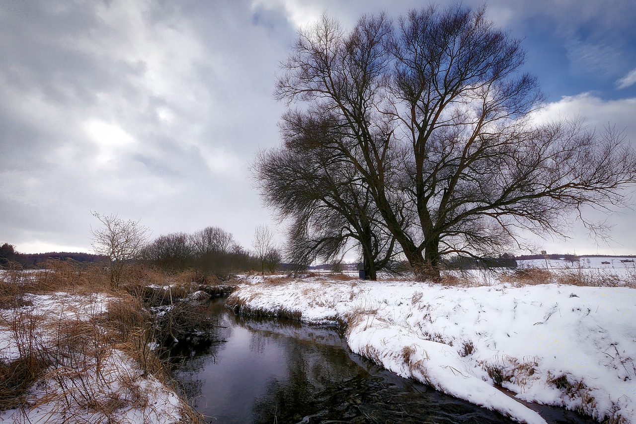 Image - winter bach wintry snow water