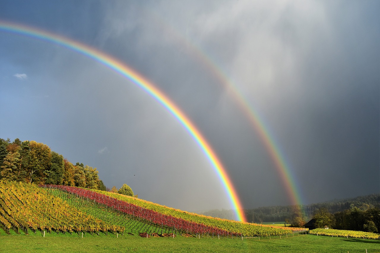 Image - rainbow rain landscape nature mood