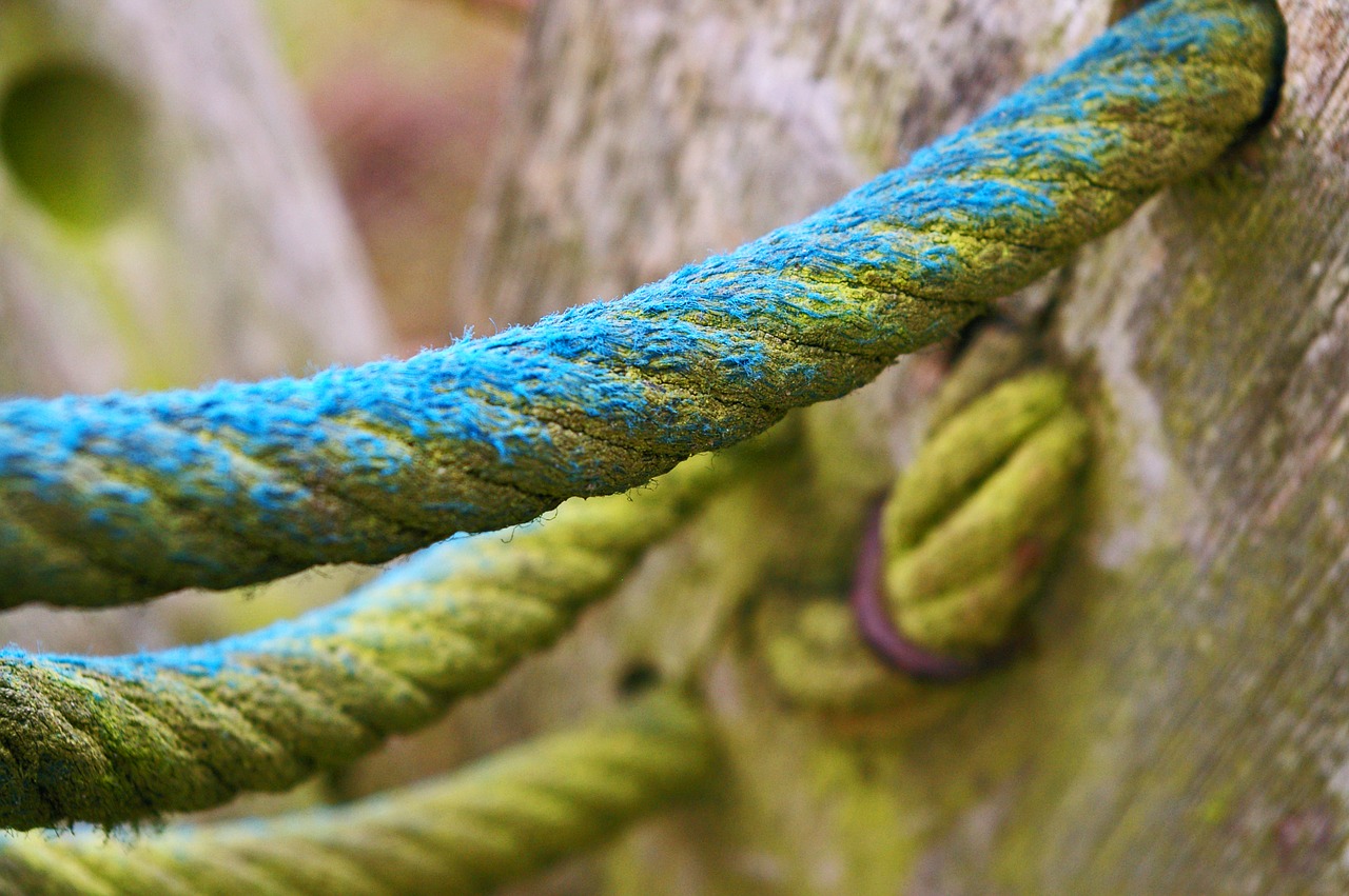 Image - close rope klettergerüst dew knot