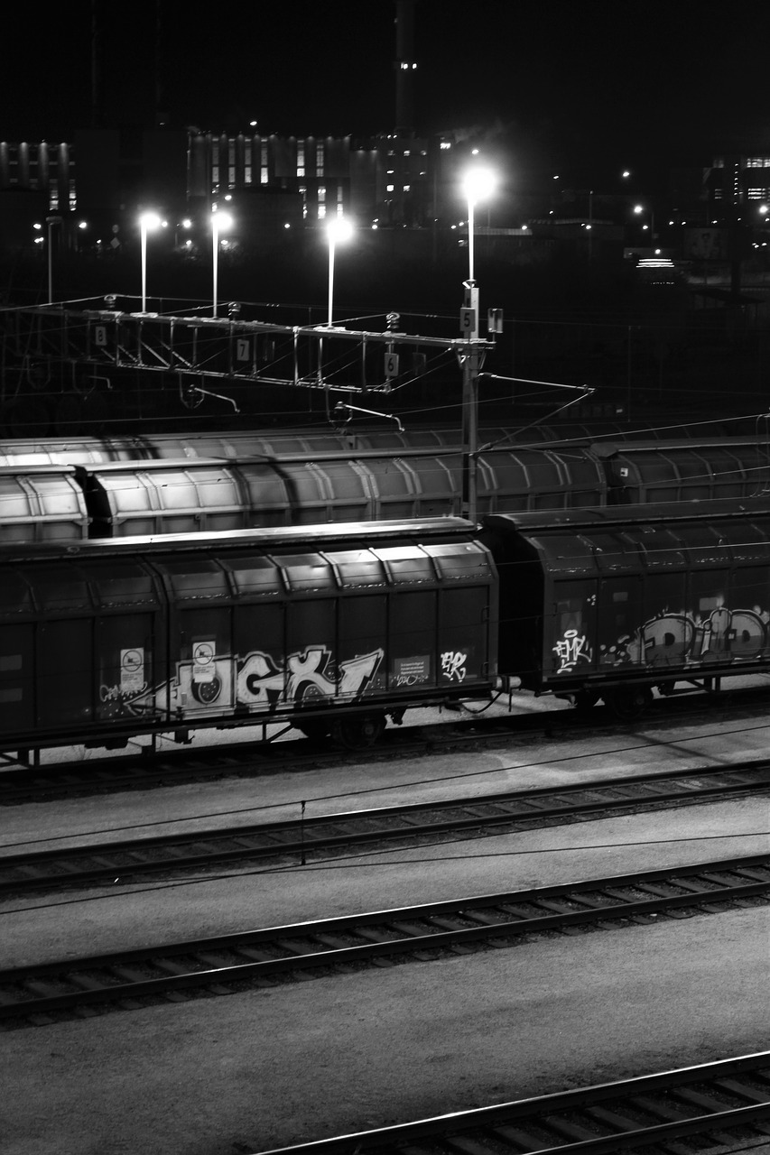 Image - black and white train evening