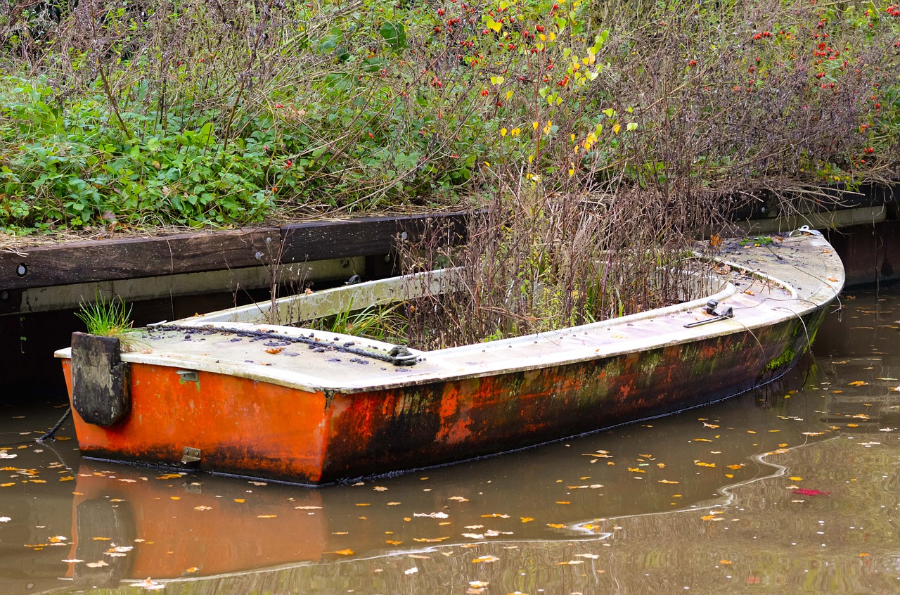 Image - overgrown abandoned boat plant