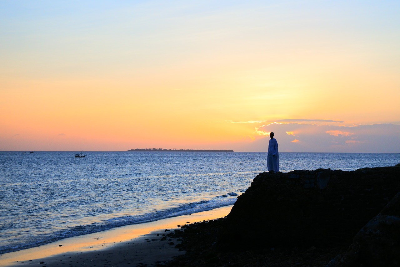 Image - sea zanzibar beach sunset water