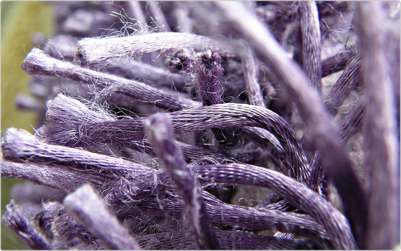 Image - purple macro carpet