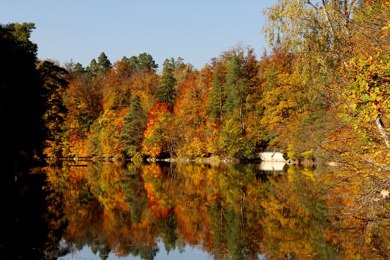 Image - stuttgart pfaffenteich lake