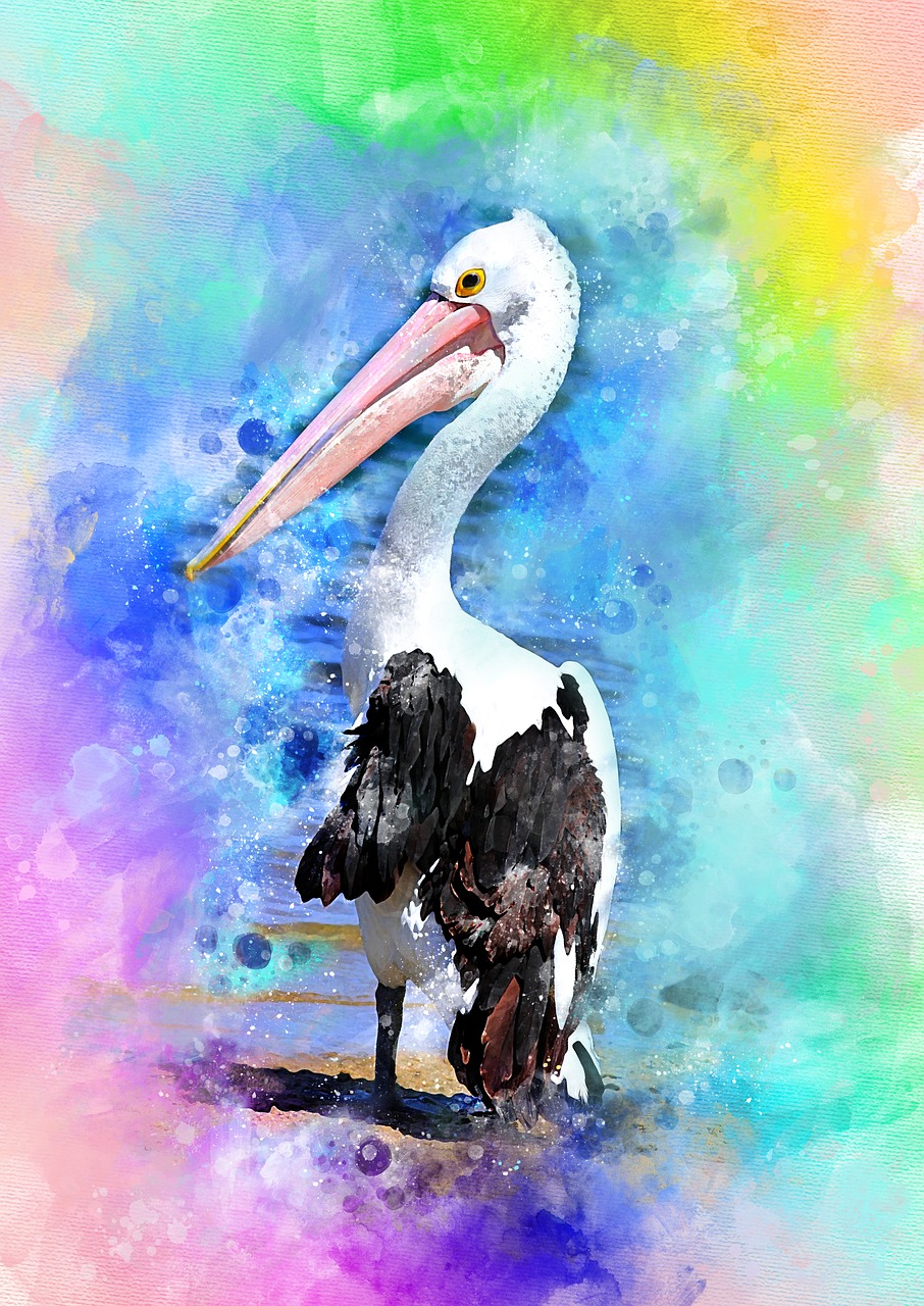 Image - pelican bird nature beak