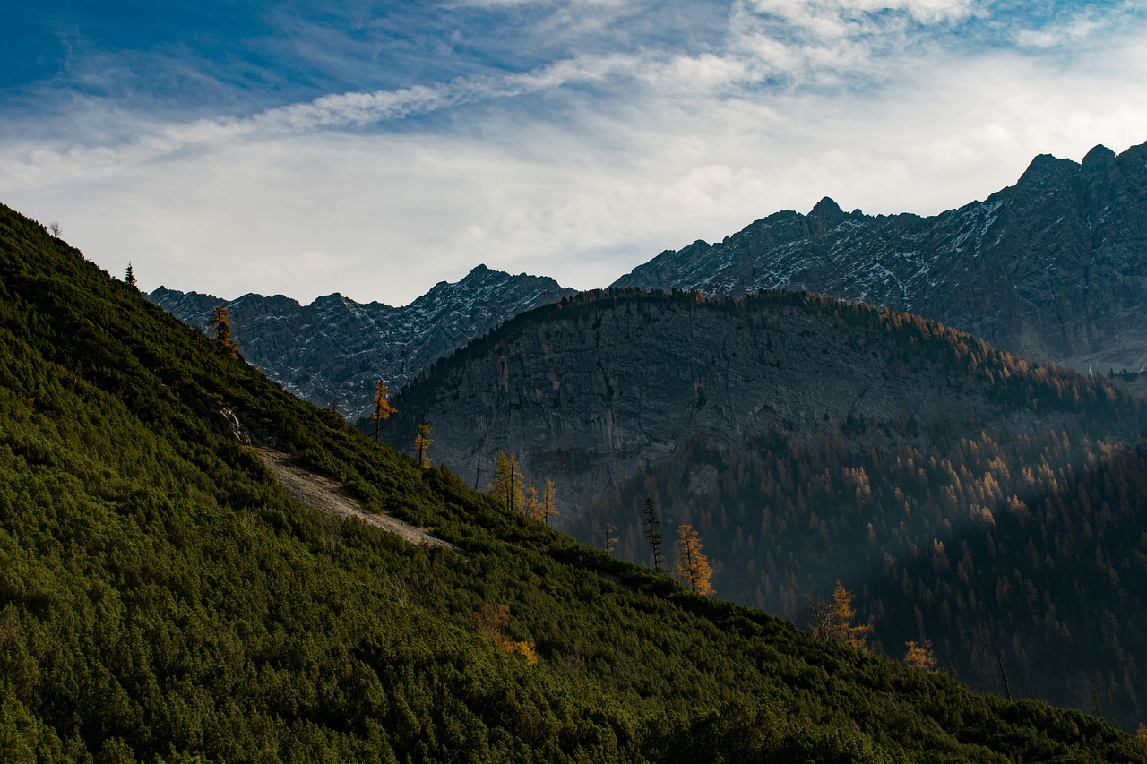 Image - alps autumn trees