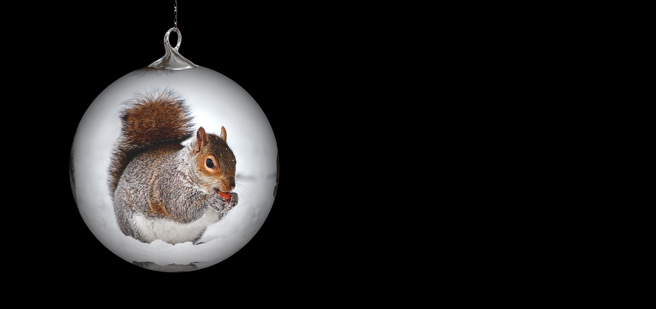 Image - christmas ornament squirrel