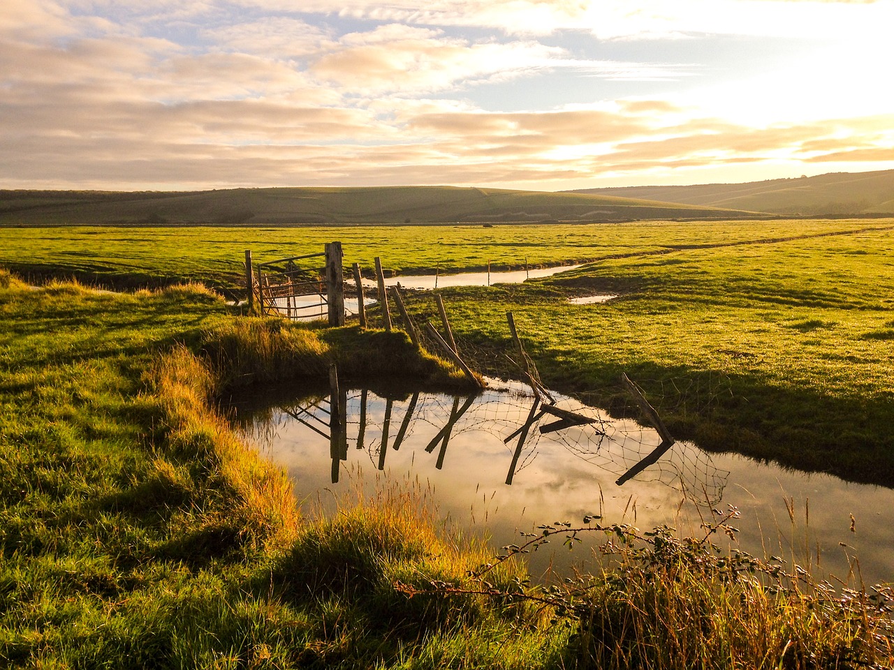 Image - sunrise grass reflections morning