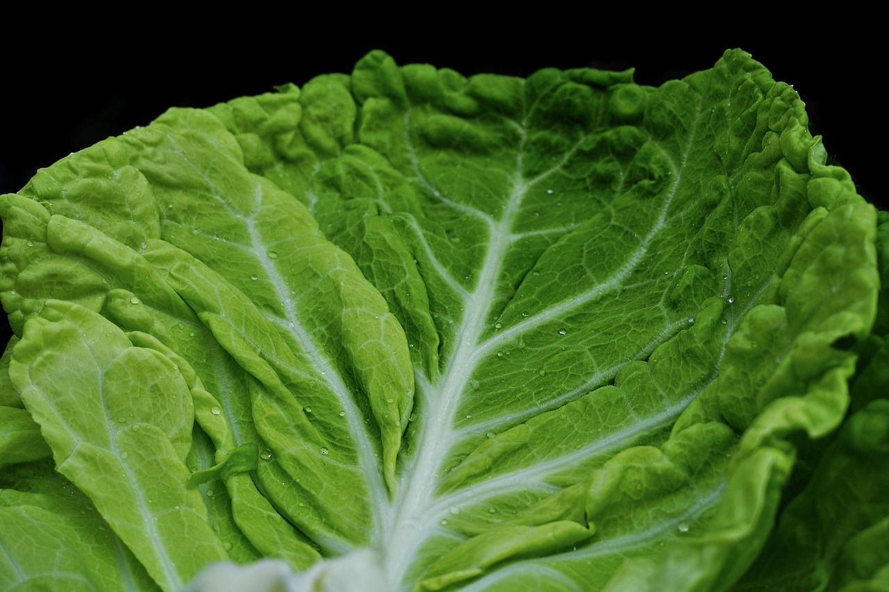 Image - savoy green kohl healthy