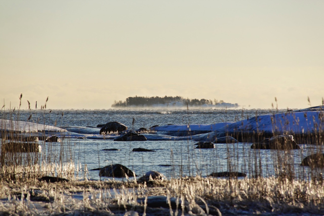 Image - sea winter melkki frost beach