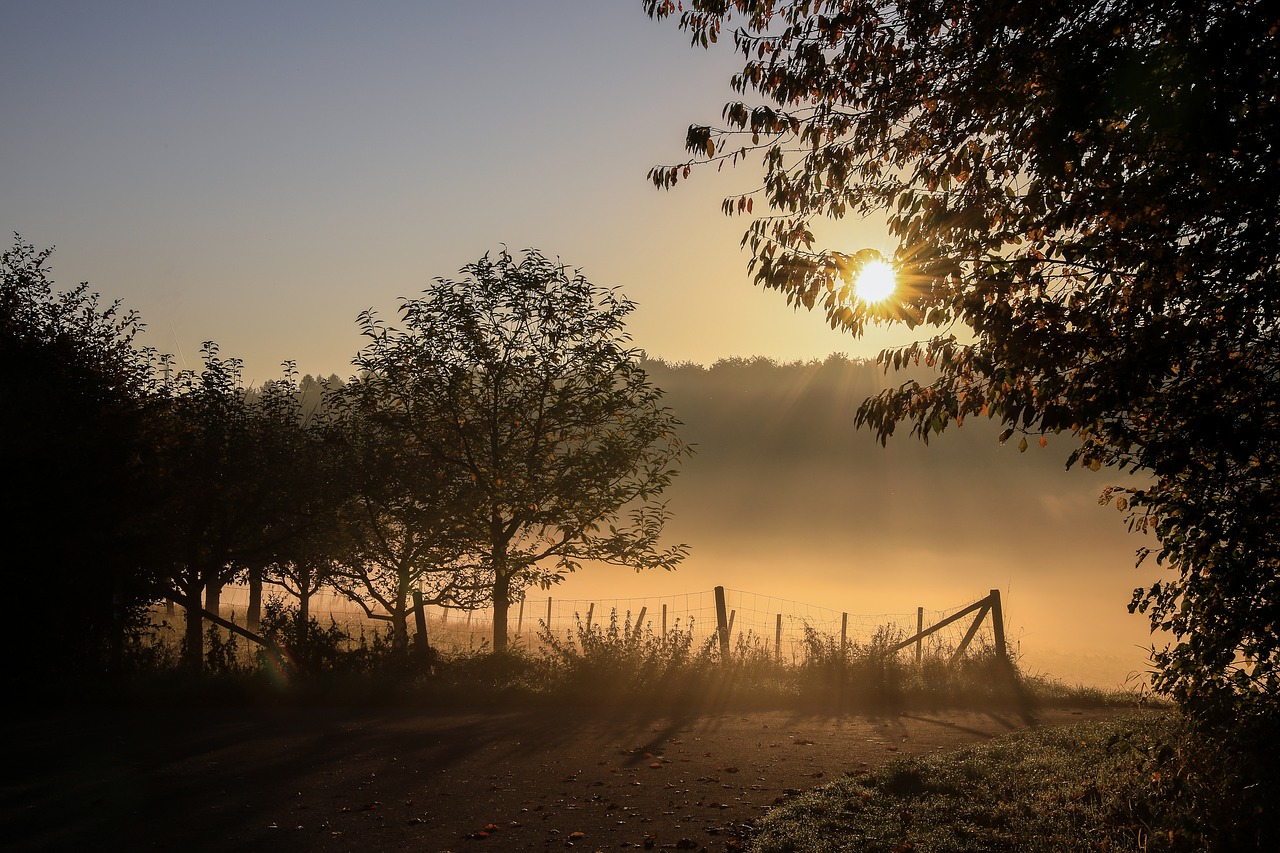 Image - autumn landscape foggy landscape