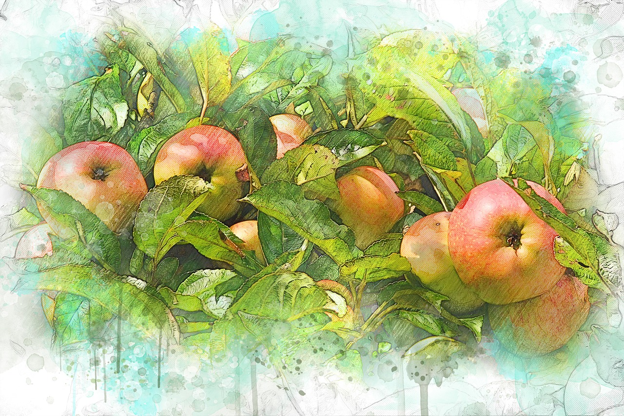 Image - autumn harvest apples red nature