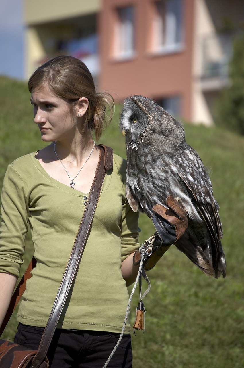 Image - owl croaker birder falconer woman