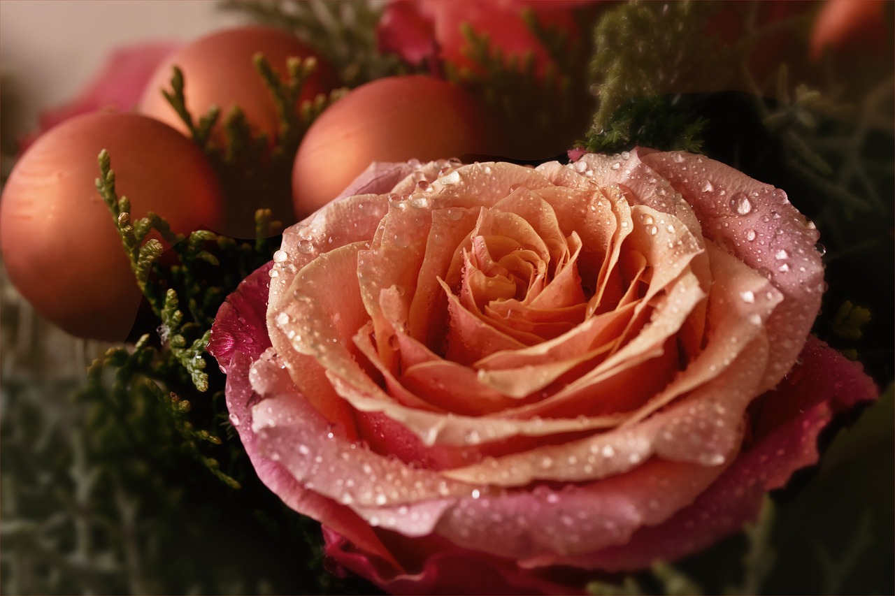 Image - flower nature advent christmas